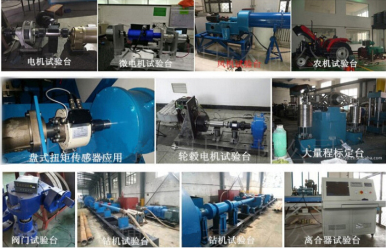 齒輪減速電機(jī)扭力測試儀